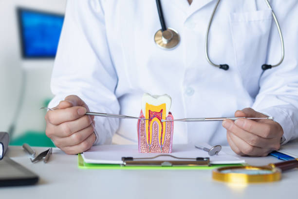 Best Urgent Dental Care for Toothache in Nettleton, MS